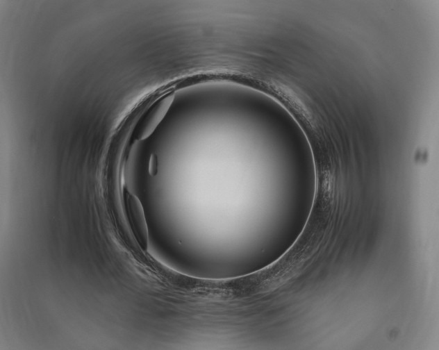 X0000091490676200708161439