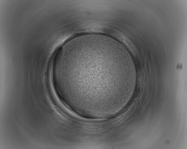 X0000091490677200708161439