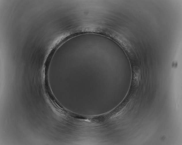 X0000091490678200708161439