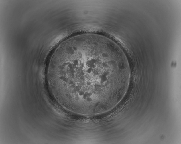X0000091490679200708161439