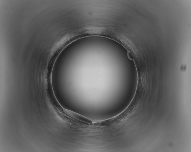 X0000091490682200708161439