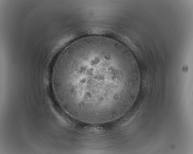 X0000091490683200708161439