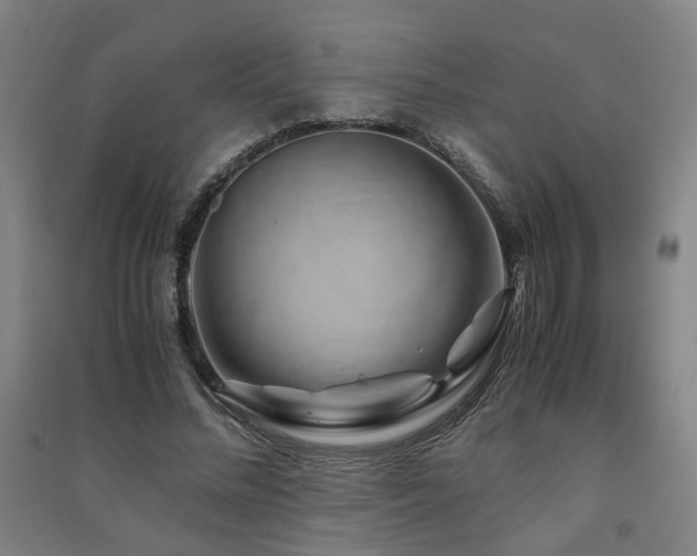 X0000091490684200708161439