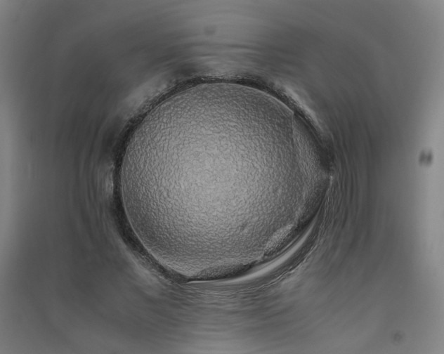 X0000091490685200708161439