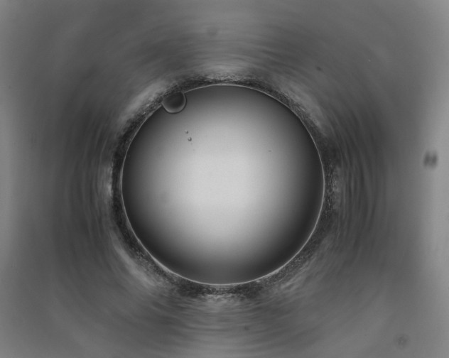 X0000091490686200708161439