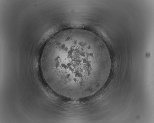 X0000091490687200708161439