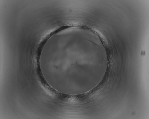 X0000091490688200708161439