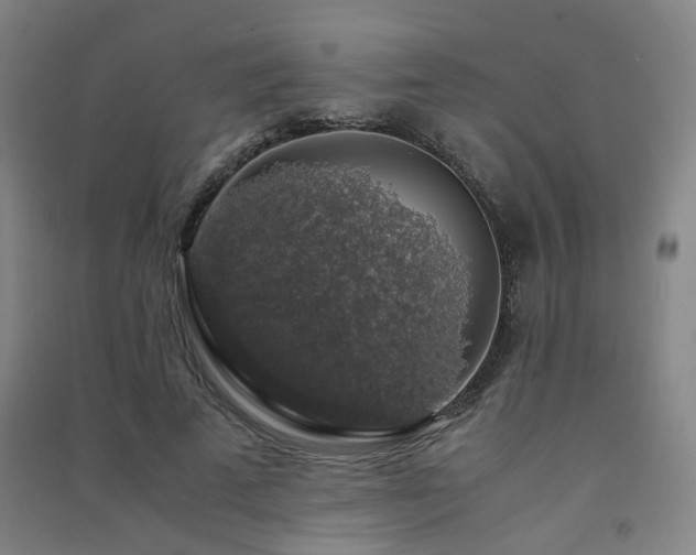 X0000091490689200708161439