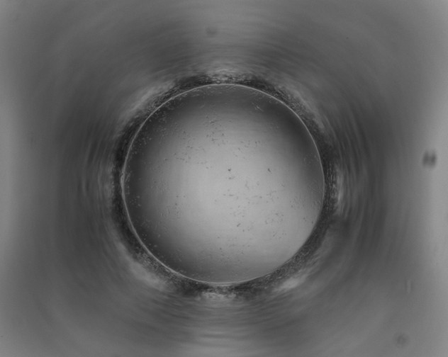 X0000091490690200708161439
