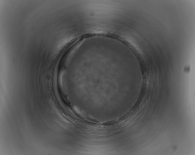 X0000091490692200708161439