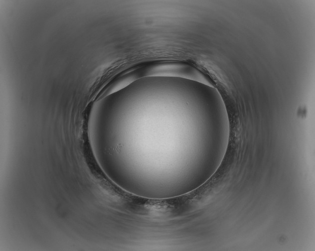 X0000091490693200708161439
