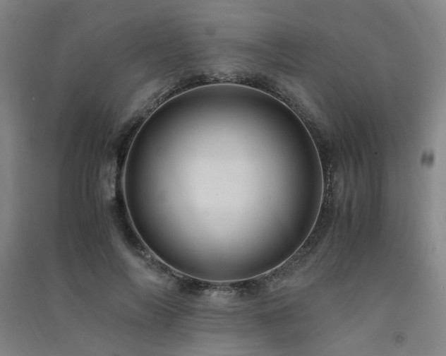 X0000091490694200708161439