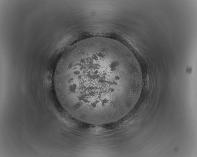 X0000091490695200708161439
