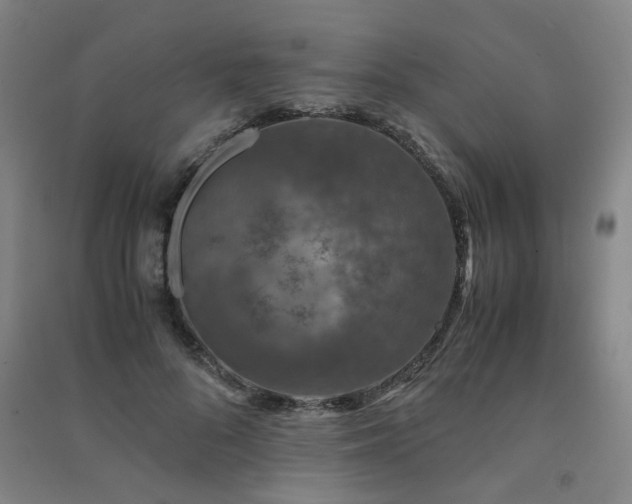 X0000091490696200708161439