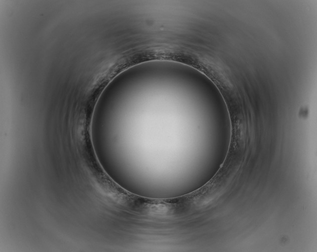 X0000091490698200708161439