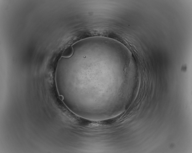 X0000091490699200708161439
