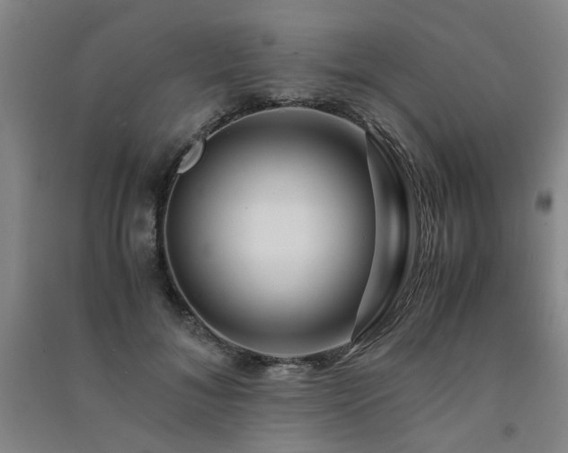 X0000091490700200708161439