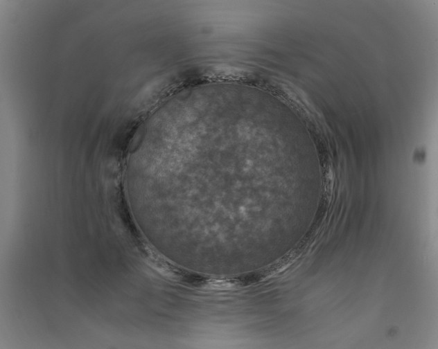 X0000091490701200708161439