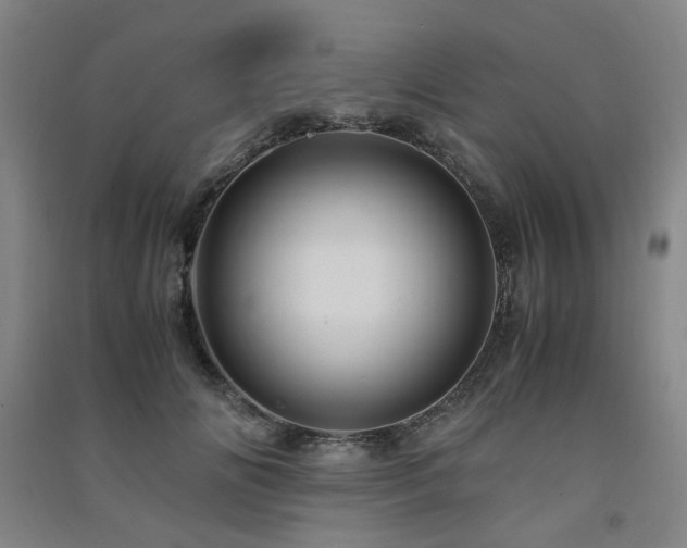 X0000091490702200708161439