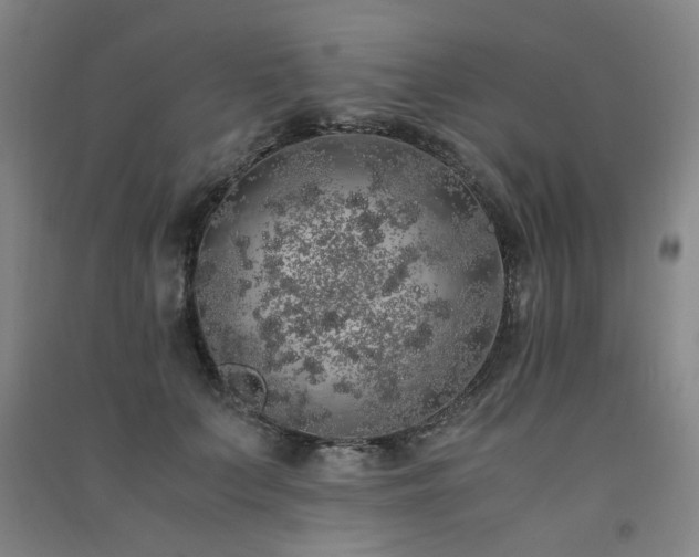 X0000091490703200708161439