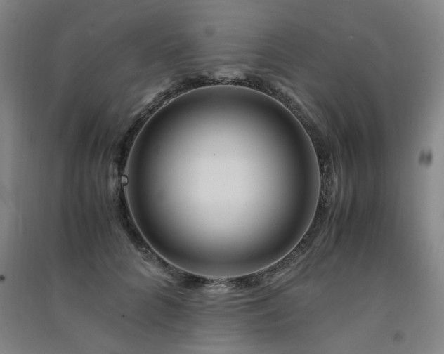 X0000091490704200708161439