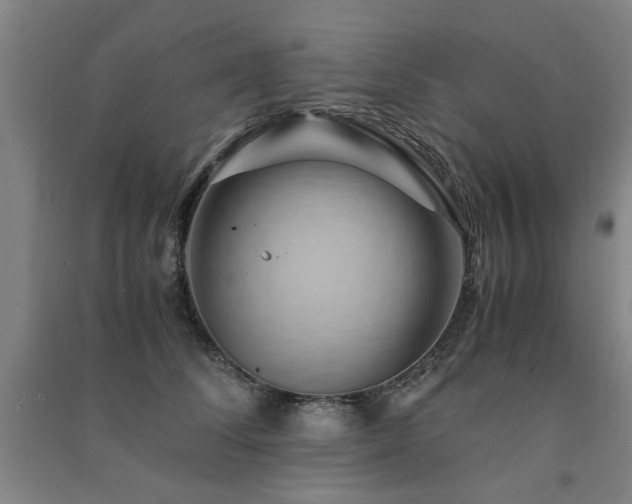 X0000091490708200708161438