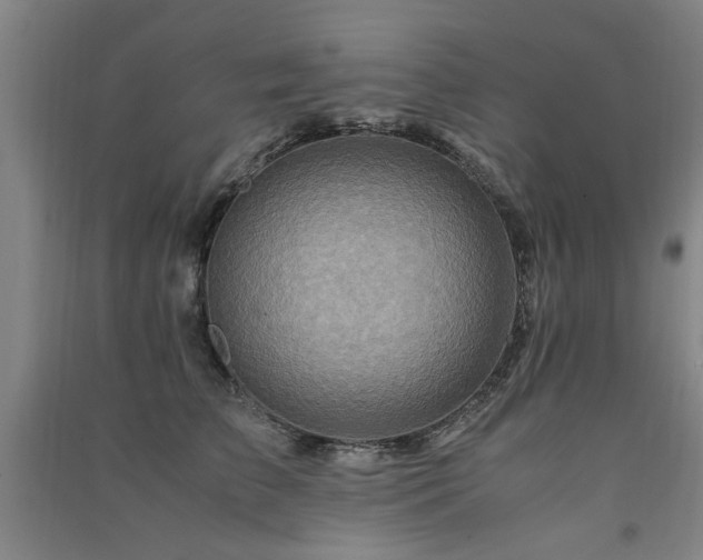 X0000091490709200708161438