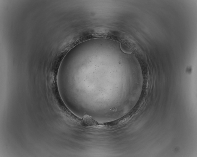 X0000091490711200708161438