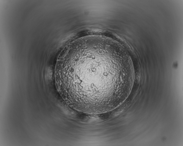 X0000091490715200708161438