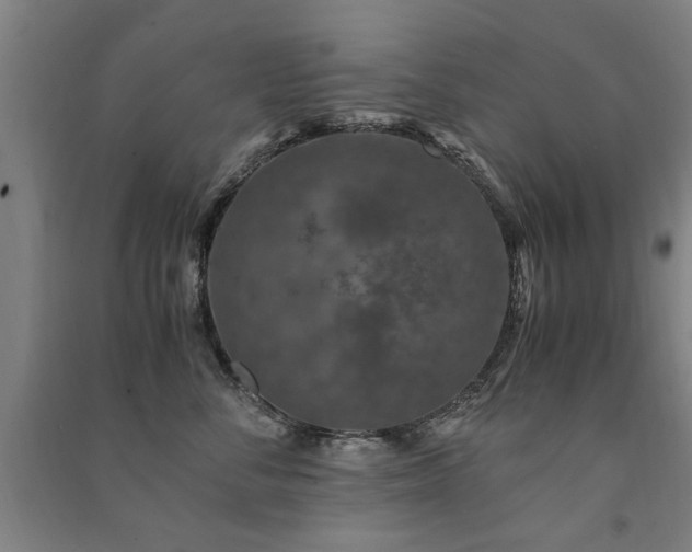 X0000091490716200708161438