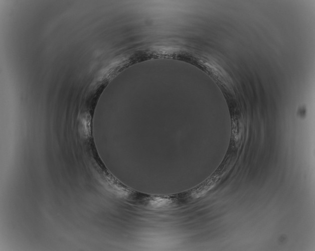 X0000091490718200708161438