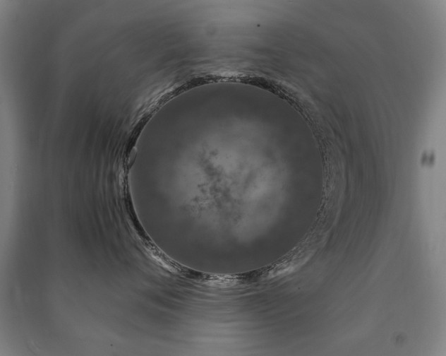 X0000091490720200708161438