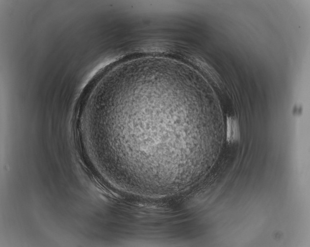 X0000091490723200708161438