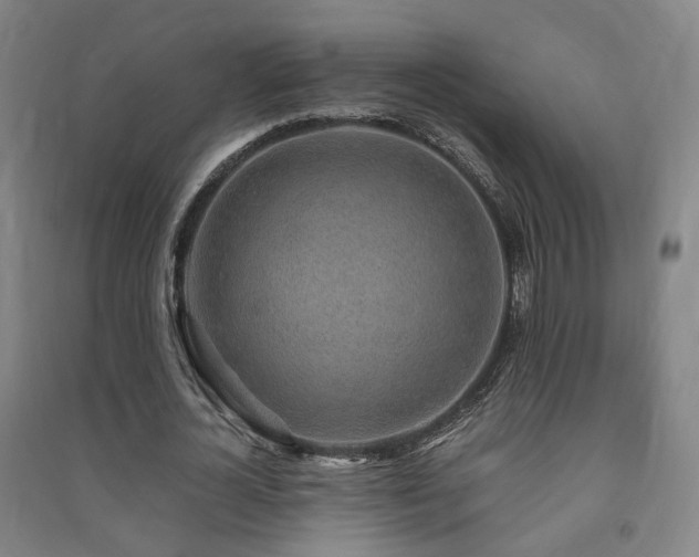 X0000091490724200708161438