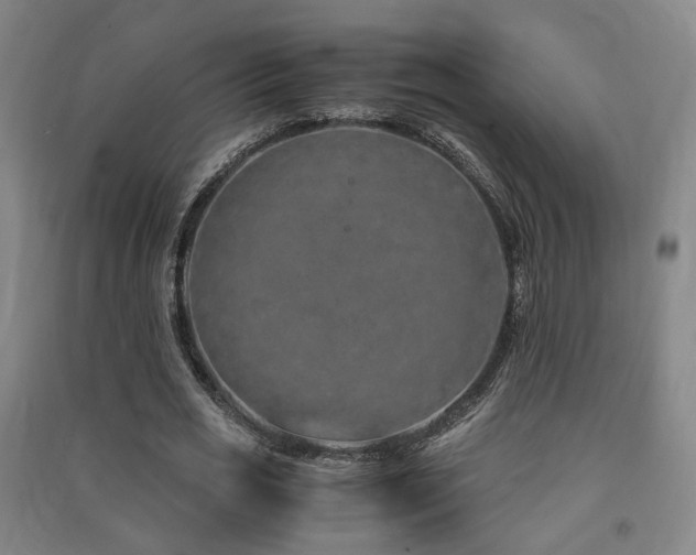 X0000091490725200708161438