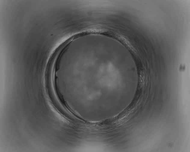 X0000091490726200708161438
