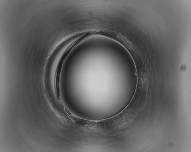 X0000091490728200708161438