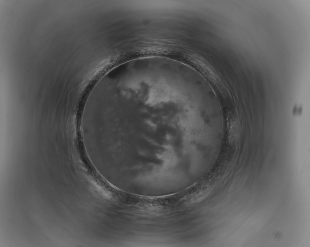 X0000091490729200708161438