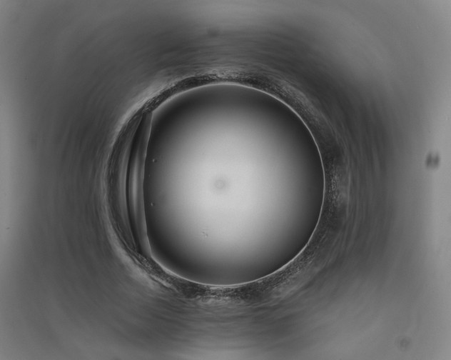 X0000091490730200708161438