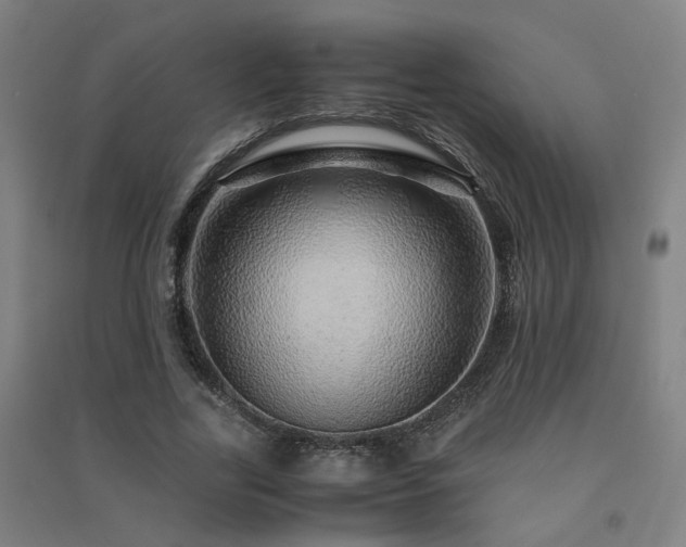 X0000091490731200708161438