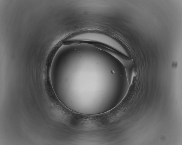X0000091490732200708161438