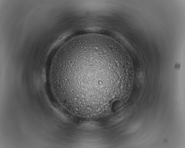 X0000091490734200708161438