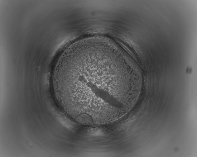 X0000091490735200708161438