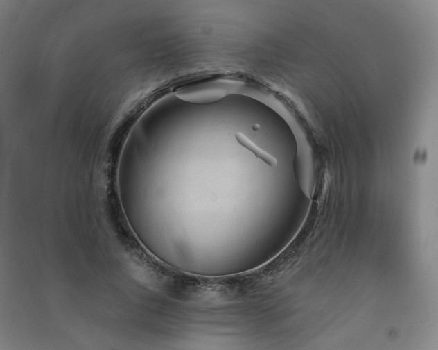 X0000091490736200708161438