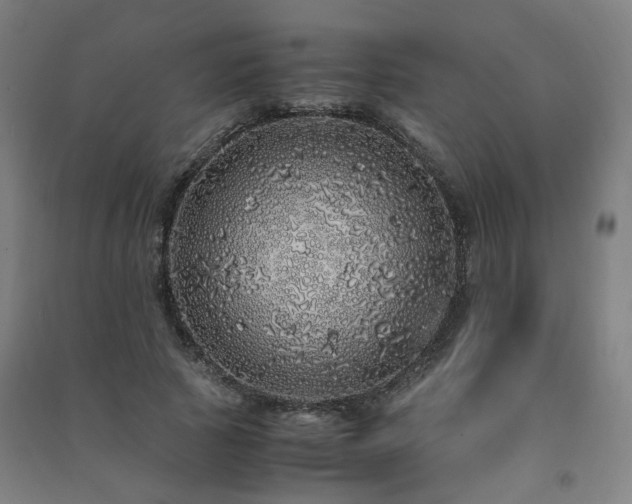 X0000091490737200708161438
