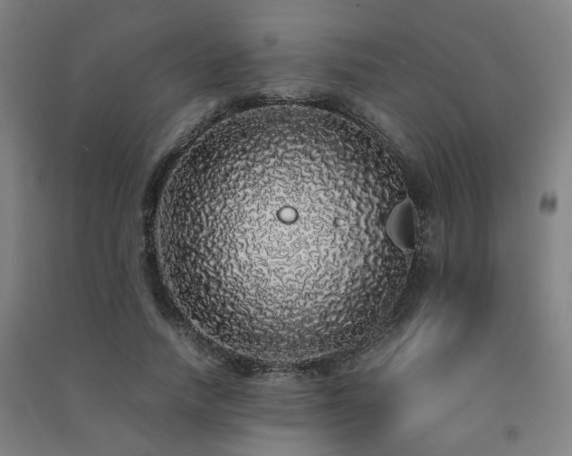 X0000091490738200708161438