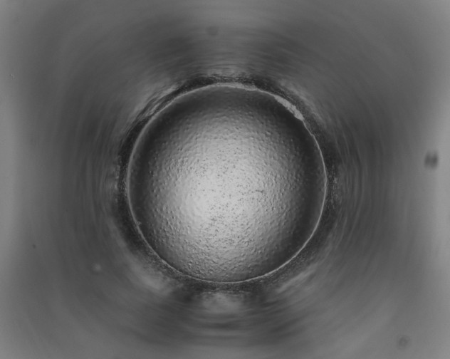 X0000091490739200708161438
