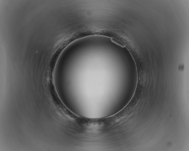 X0000091490740200708161438