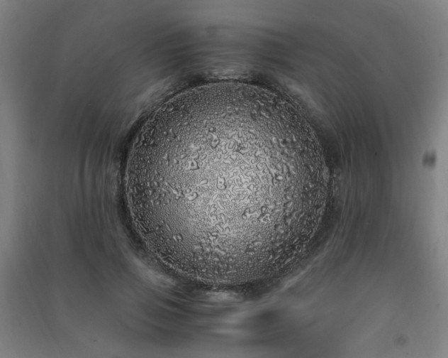 X0000091490741200708161438