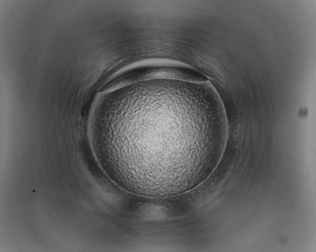 X0000091490743200708161438